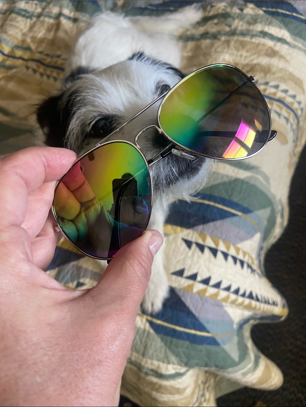 Rainbow Mirrored Aviator Sunglasses with Silver Frame NEW TARGET